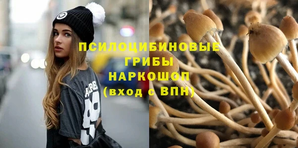 Альфа ПВП Протвино