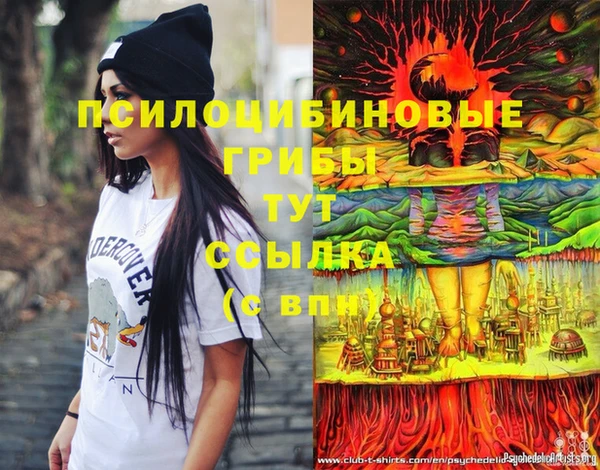 гашик Гвардейск